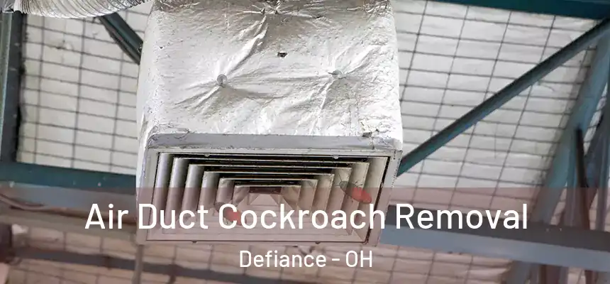  Air Duct Cockroach Removal Defiance - OH