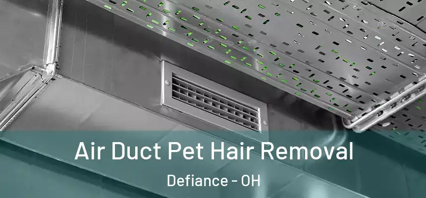 Air Duct Pet Hair Removal Defiance - OH