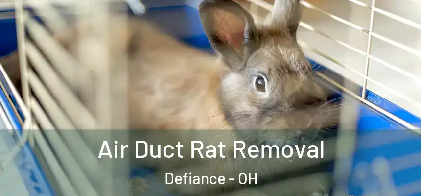  Air Duct Rat Removal Defiance - OH