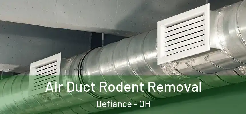  Air Duct Rodent Removal Defiance - OH