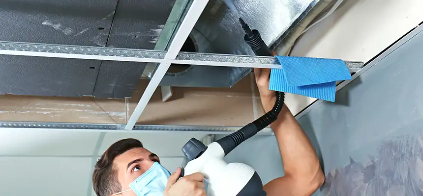 Our Air Duct Rodent Removal Services in Defiance, OH
