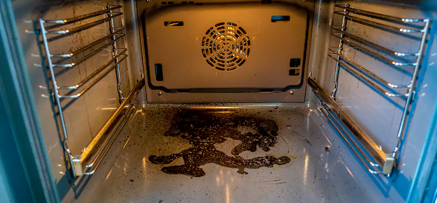 Our Dryer Vent Mold Cleaning Services in Defiance, OH