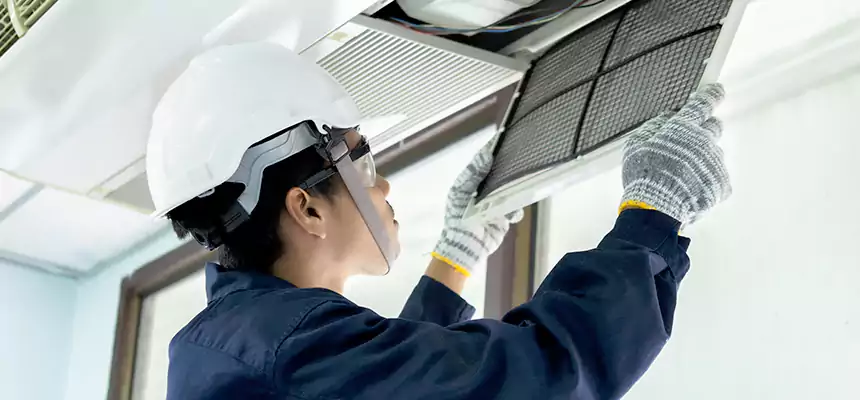 Our Mold & Mildew Removal from Air Ducts Services in Defiance, OH