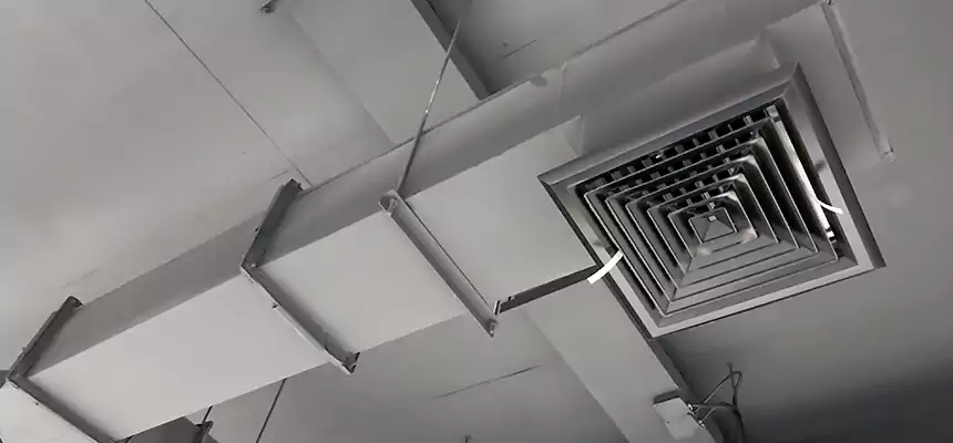 Our Rodent Droppings In Vents Services in Defiance, OH