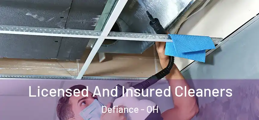  Licensed And Insured Cleaners Defiance - OH