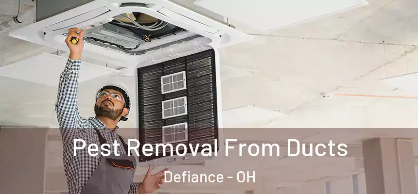  Pest Removal From Ducts Defiance - OH