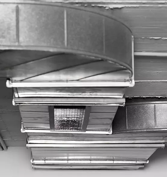 Professional Air Duct Pet Hair Removal in Defiance, OH