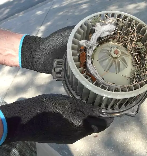 About Air Duct Rat Removal in Defiance, OH