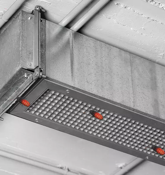 Affordable Insect Removal from Air Ducts in Defiance, OH
