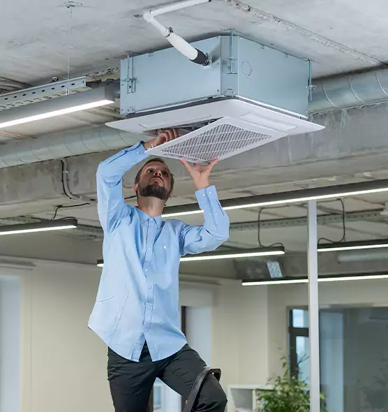 Advanced Rodent Droppings In Vents in Defiance, OH